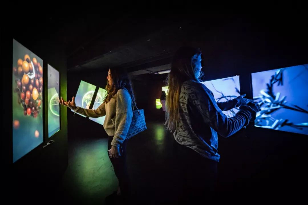 AI技术加持下 LED显示屏企业如何乘风破浪？